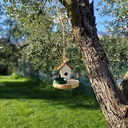 La Campagna Di Peppe E Tullia 4* 포르미아