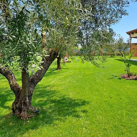 B&B La Campagna Di Peppe E Tullia 포르미아