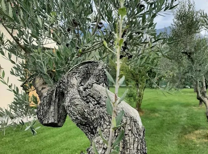 住宿加早餐酒店 La Campagna Di Peppe E Tullia