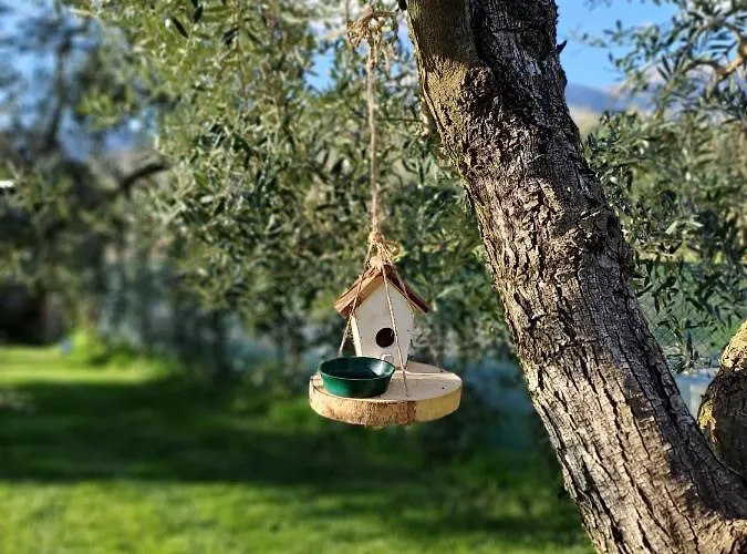 La Campagna Di Peppe E Tullia 4* 福尔米亚