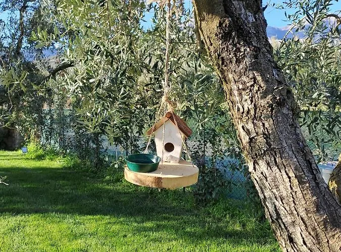 住宿加早餐酒店 La Campagna Di Peppe E Tullia 4*