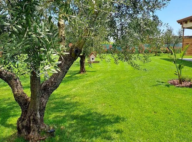 住宿加早餐酒店 La Campagna Di Peppe E Tullia 福尔米亚