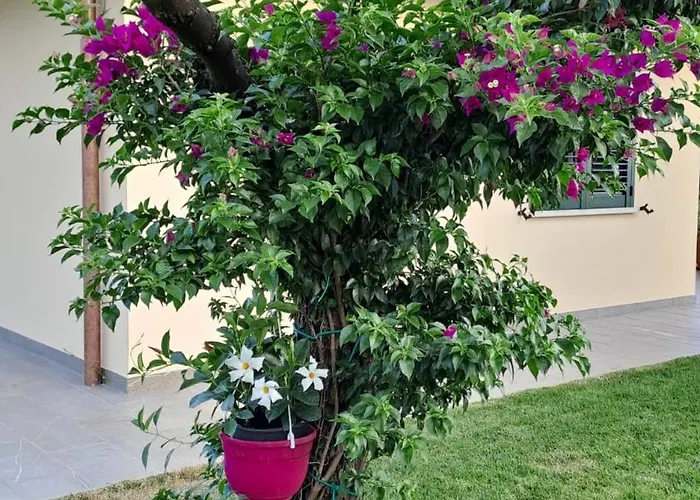 住宿加早餐酒店 La Campagna Di Peppe E Tullia