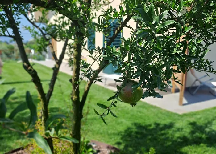 La Campagna Di Peppe E Tullia 福尔米亚