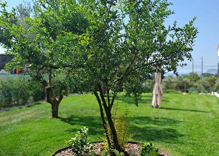 La Campagna Di Peppe E Tullia 住宿加早餐酒店