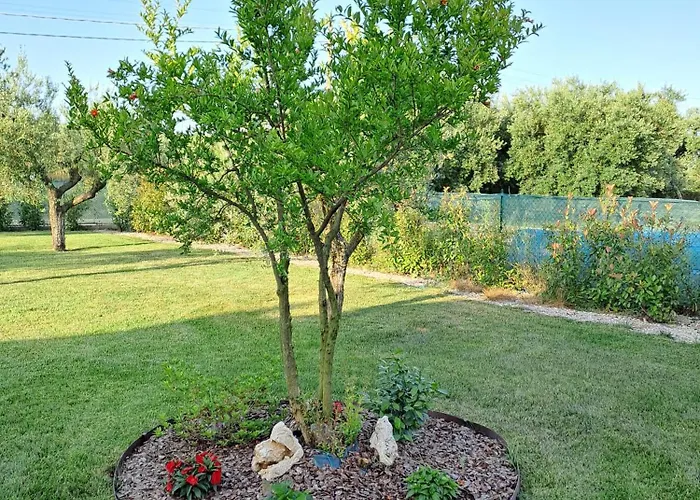 住宿加早餐酒店 La Campagna Di Peppe E Tullia