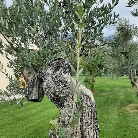 Couette-café La Campagna Di Peppe E Tullia