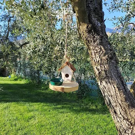 Couette-café La Campagna Di Peppe E Tullia 4*