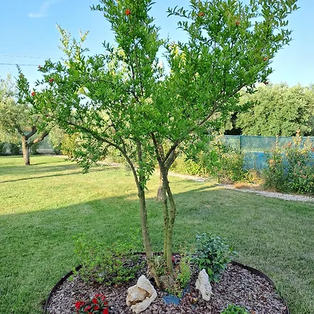 Bed & Breakfast La Campagna Di Peppe E Tullia 4*