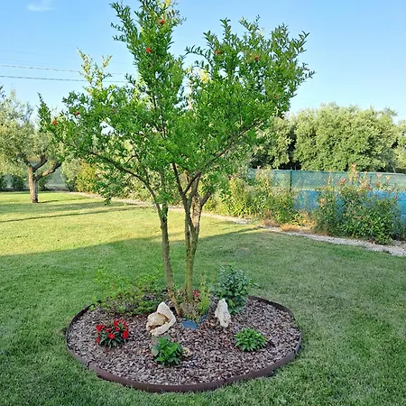 Oda ve Kahvaltı La Campagna Di Peppe E Tullia