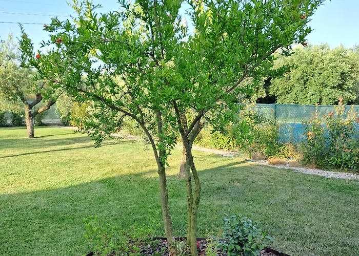 Couette-café La Campagna Di Peppe E Tullia 4*